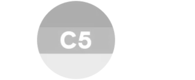 C5安全认证