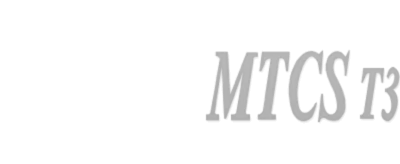 MICS T3标准